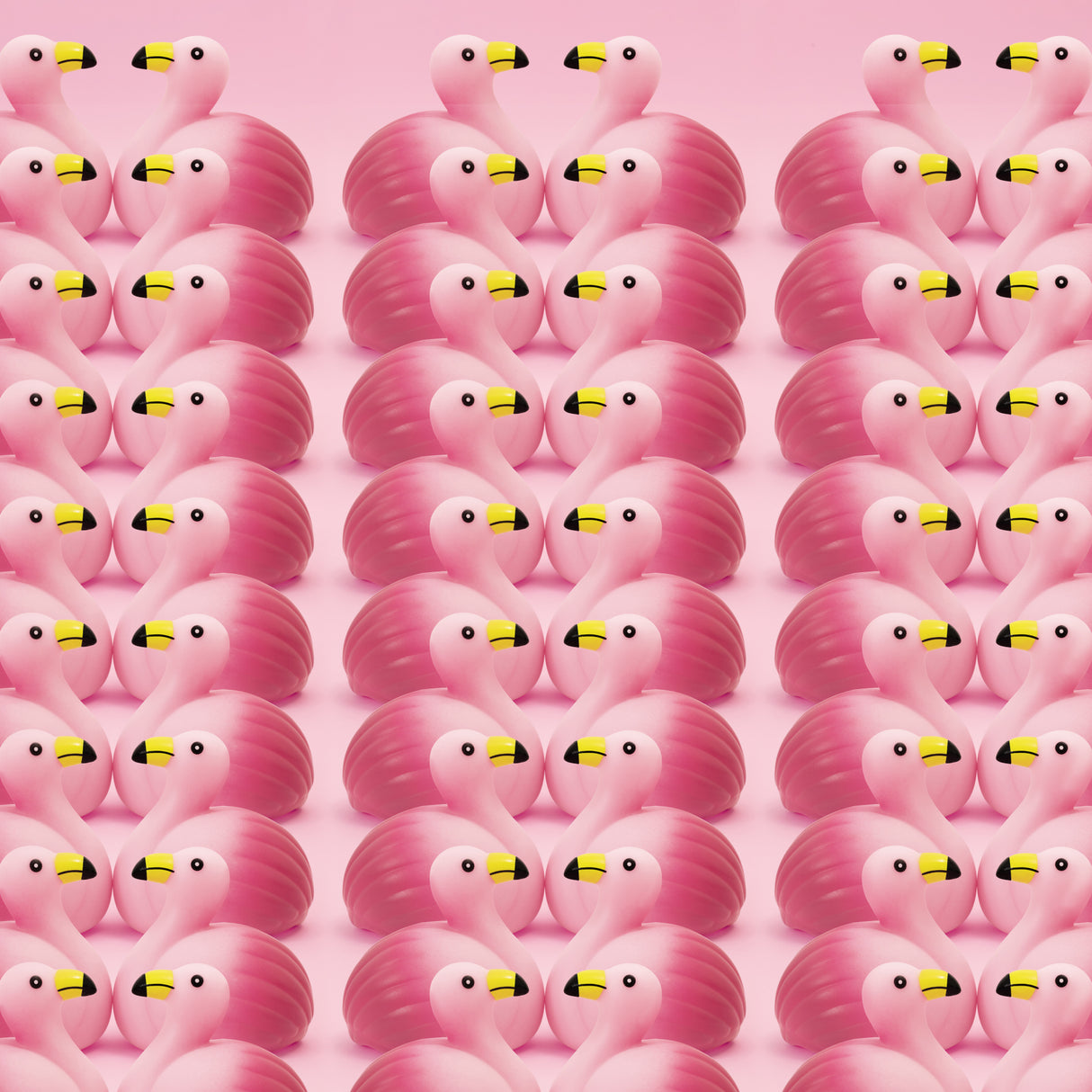 Flamencos.5 Poster och Canvastavla