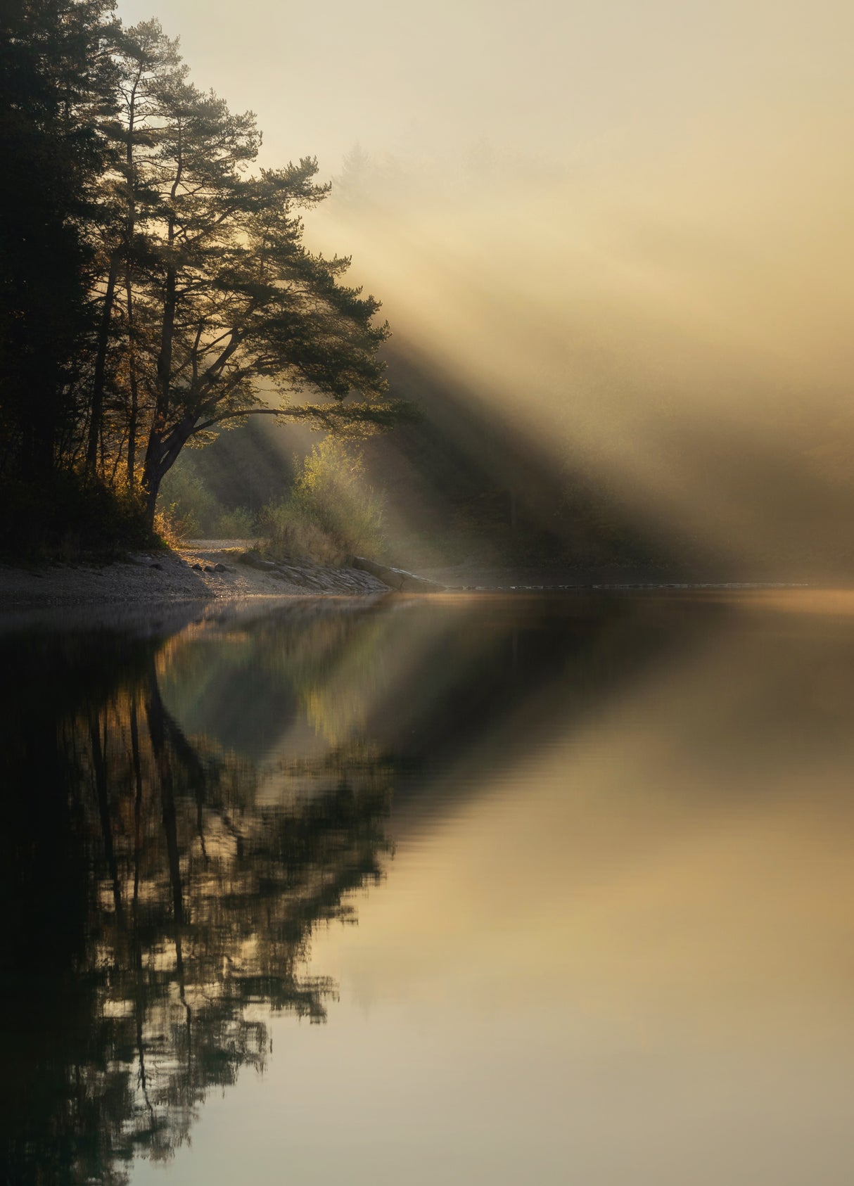 Perfect reflection Poster och Canvastavla