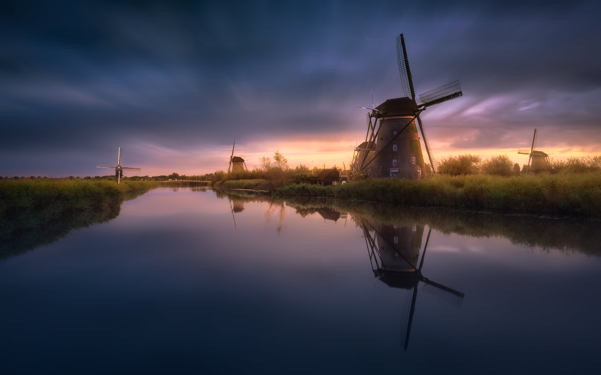 Kinderdijk Windmills Poster och Canvastavla
