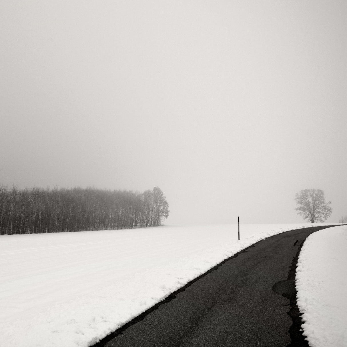Curve In Snow Poster och Canvastavla