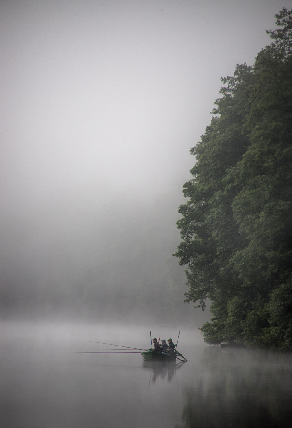 morning fishing Poster och Canvastavla