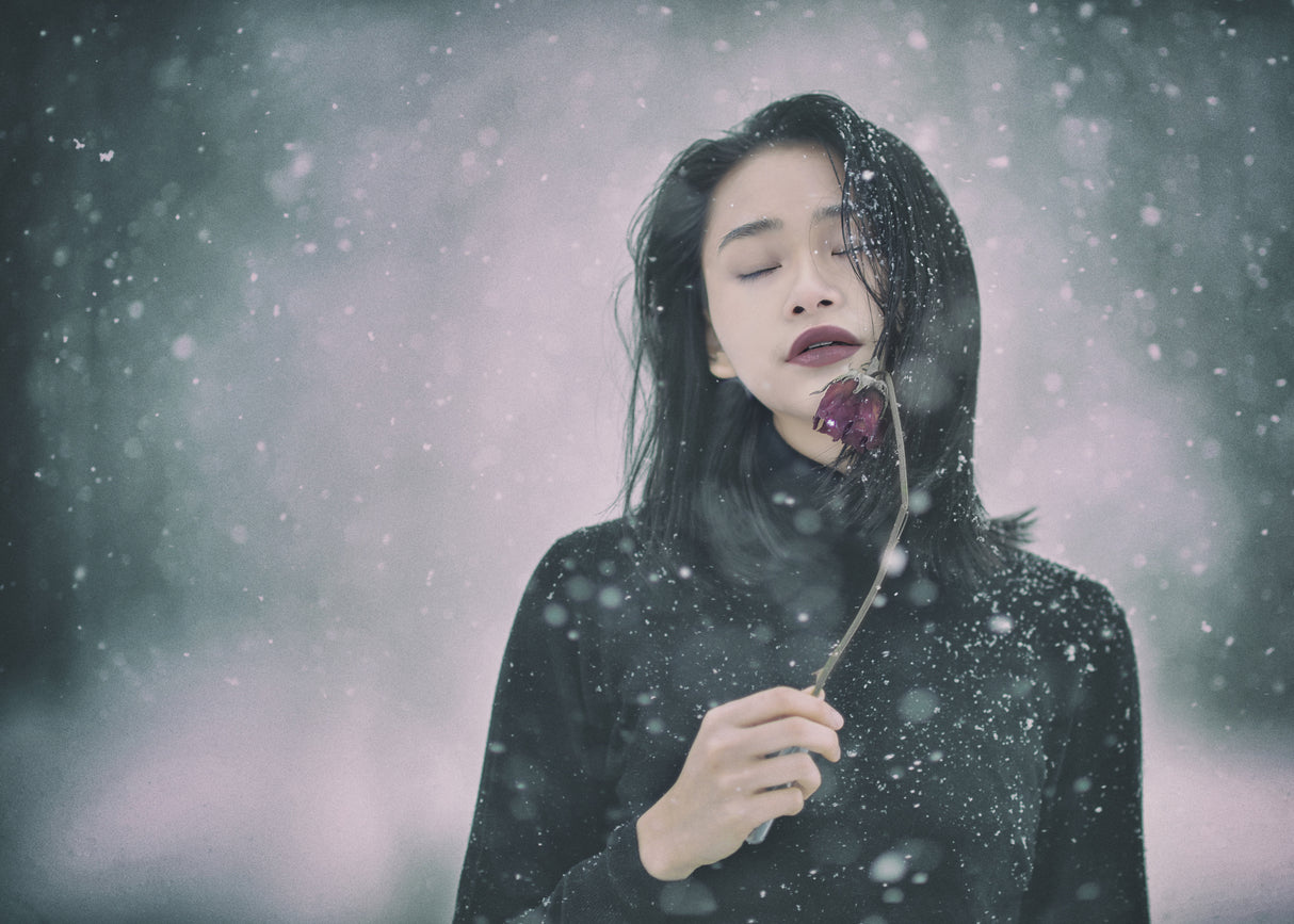 Winter Dream Poster och Canvastavla