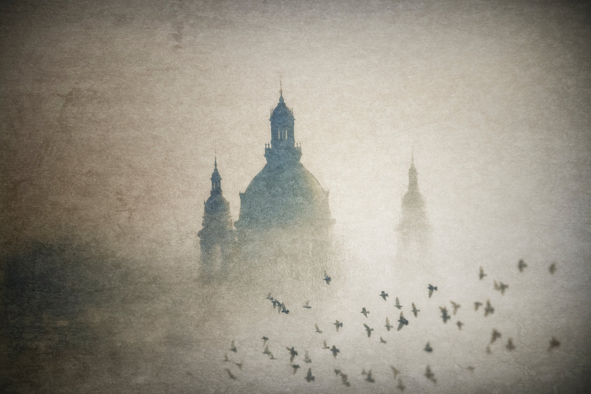 Foggy morning Poster och Canvastavla