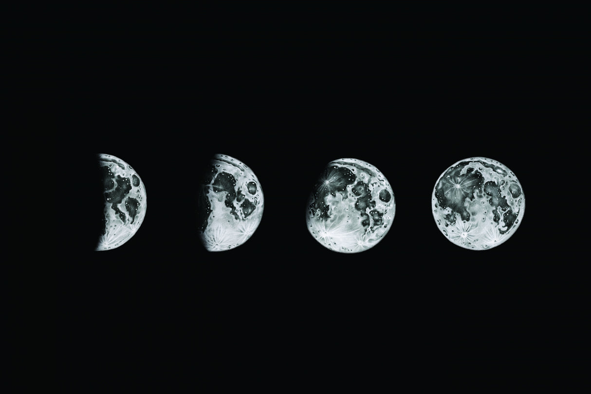 Lunar Phases Poster och Canvastavla
