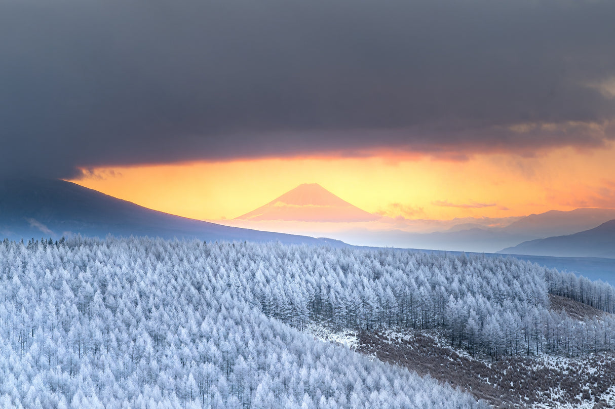 Sea of Foggy Ice and Mt.Fuji Poster och Canvastavla