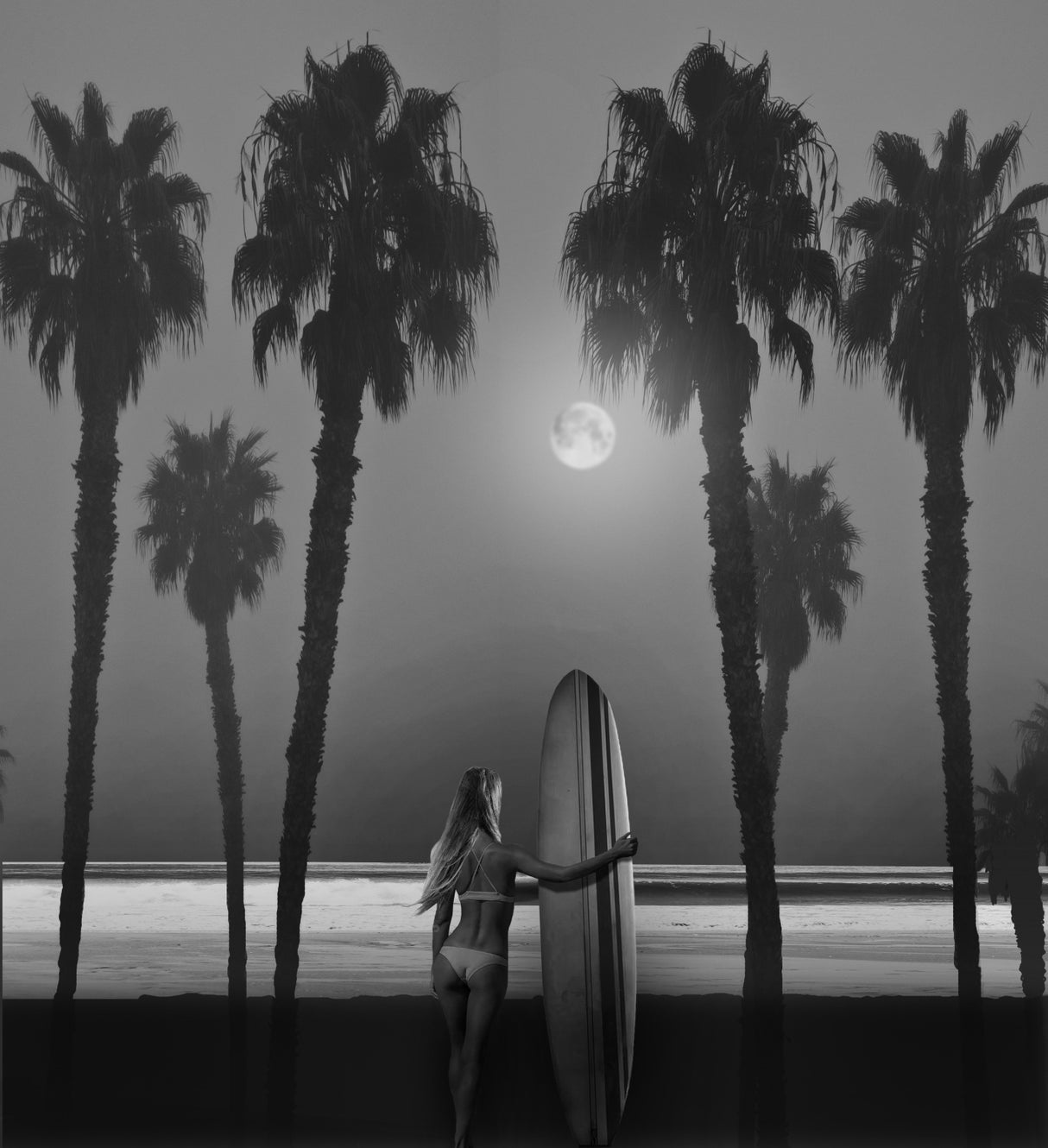 Moonlight Surfer Poster och Canvastavla