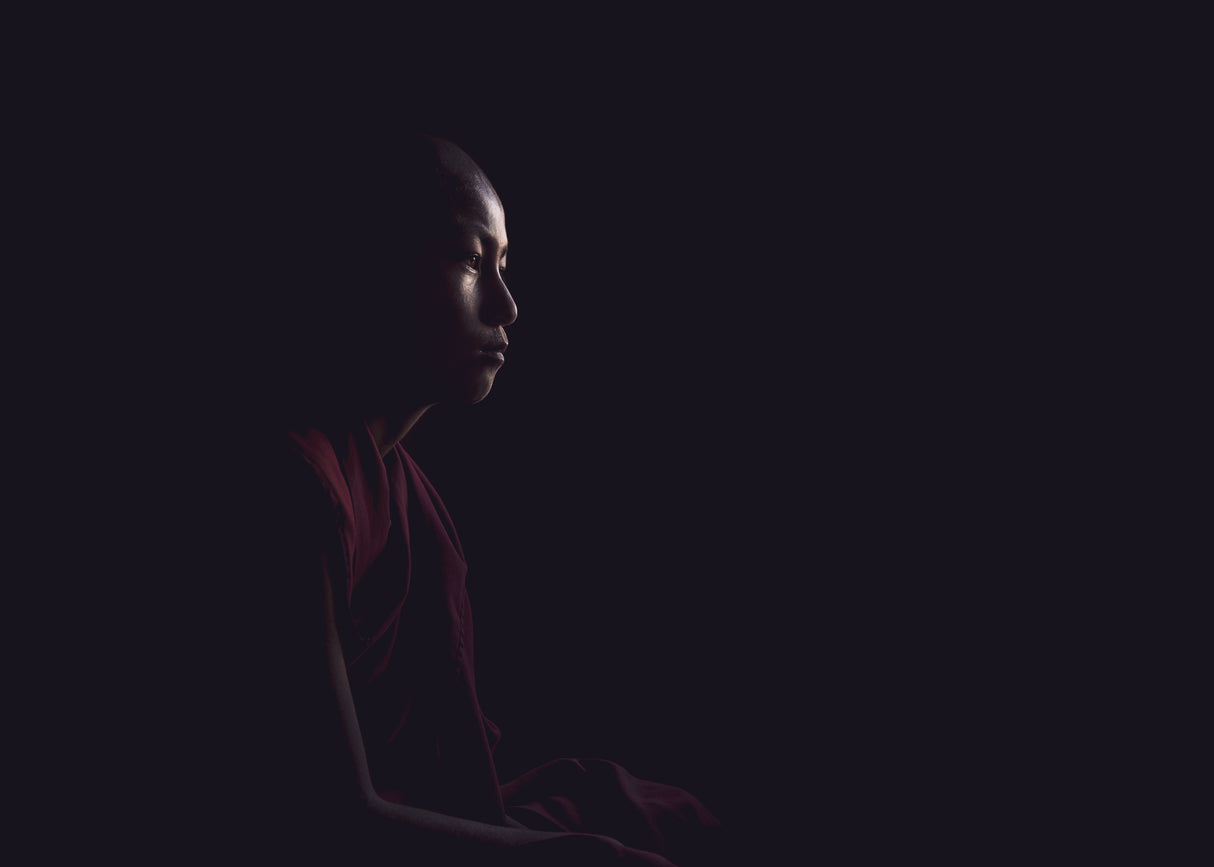 Novice in the dark Poster och Canvastavla