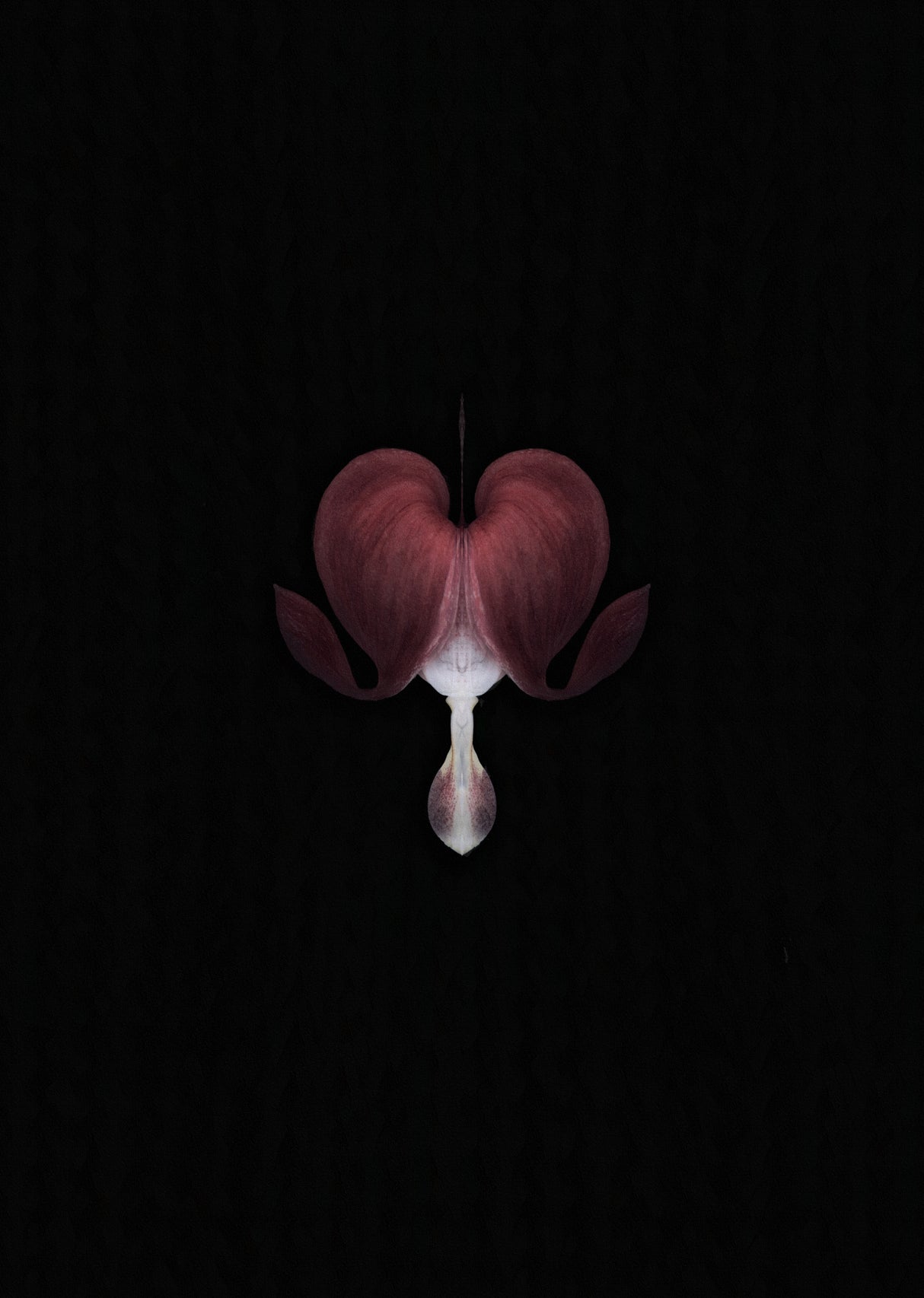Flower heart Poster och Canvastavla