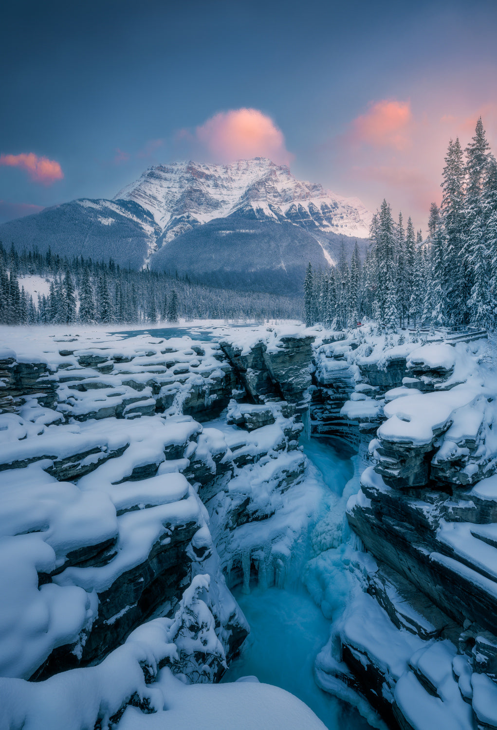 Athabasca Falls Poster och Canvastavla