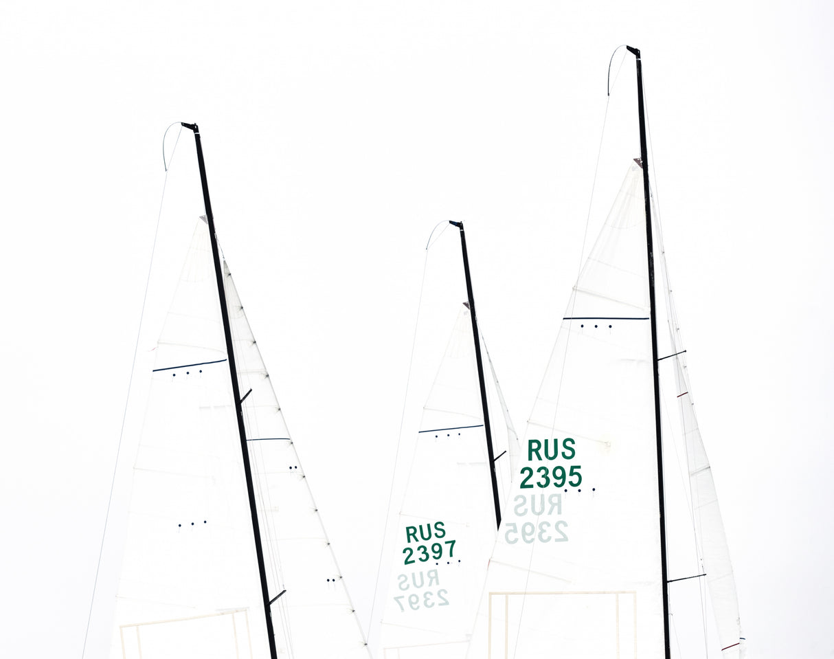 Sails Poster och Canvastavla
