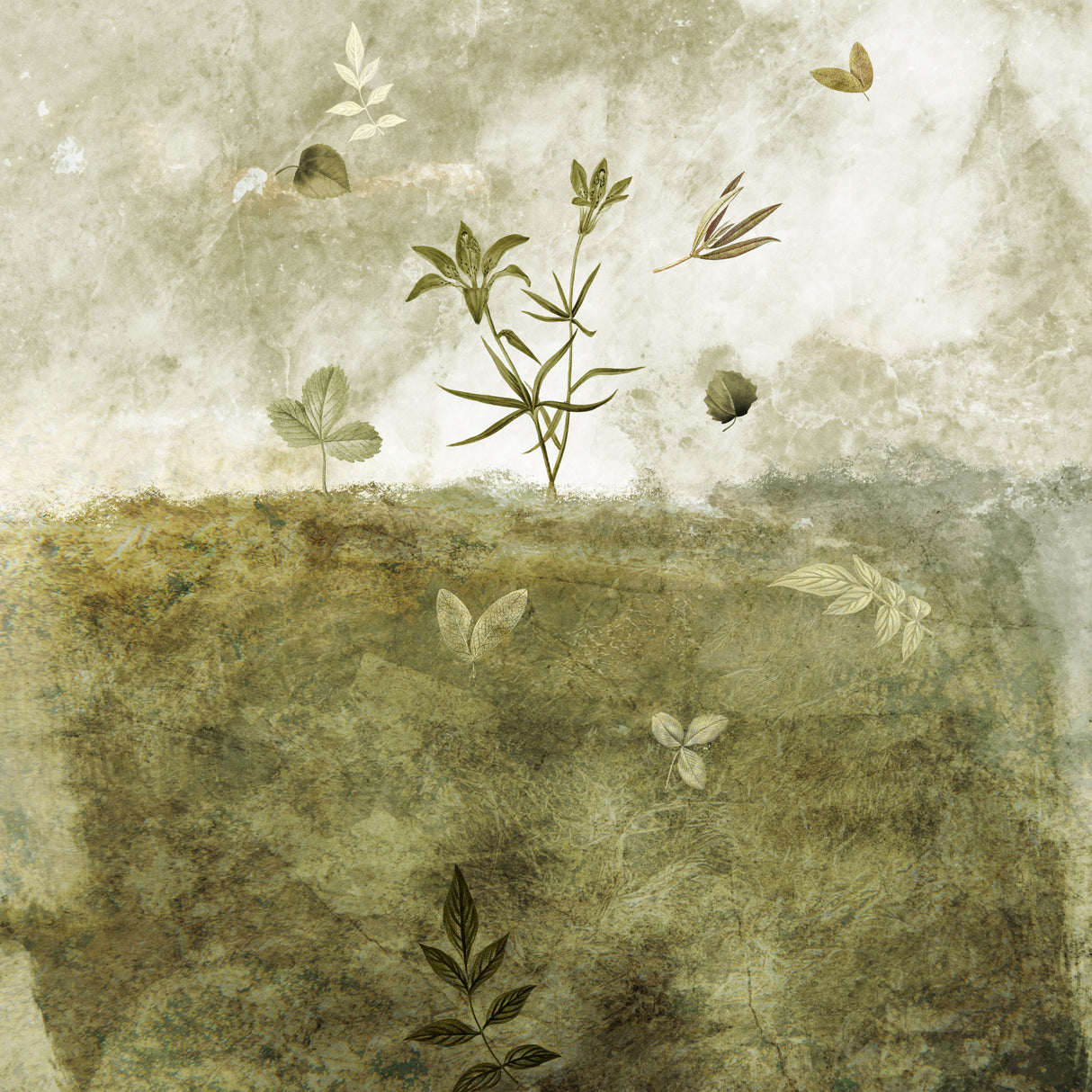 Olive Poster och Canvastavla