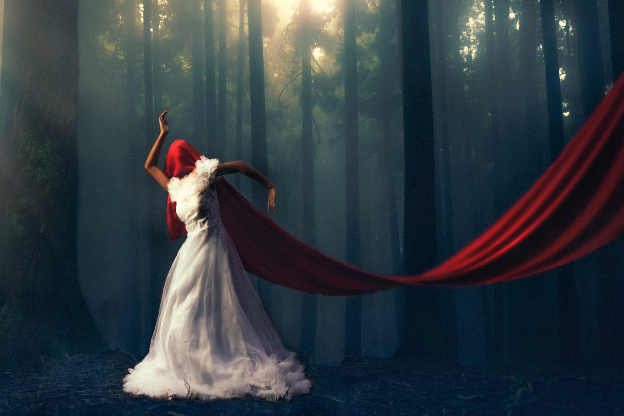 Forest Lady Poster och Canvastavla