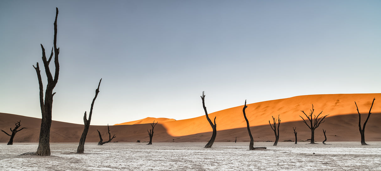 Namibian desert Poster och Canvastavla