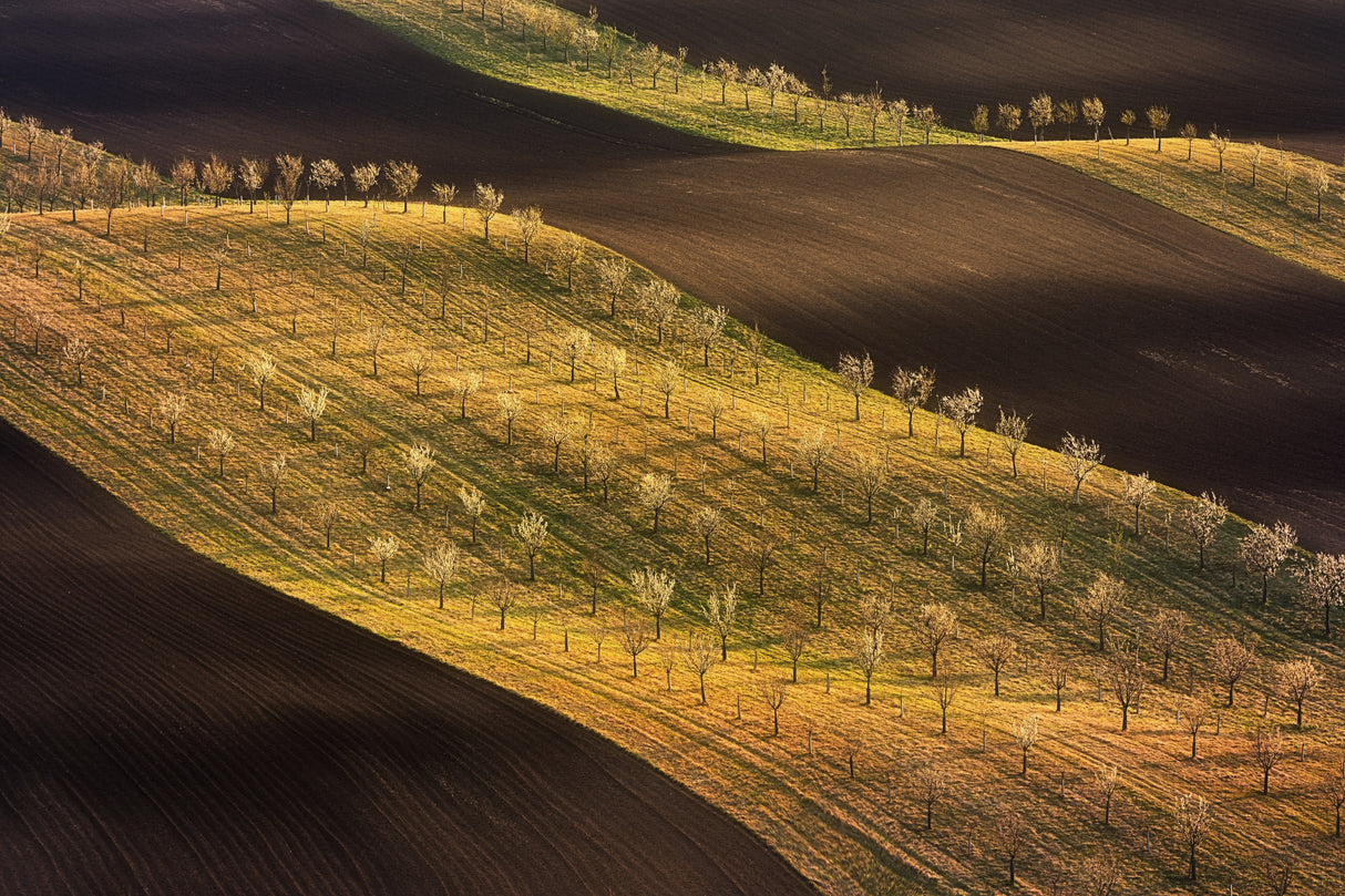 Moravian Tuscany Waves #2 Poster och Canvastavla