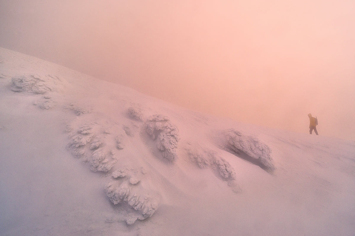 Below the Summit Poster och Canvastavla