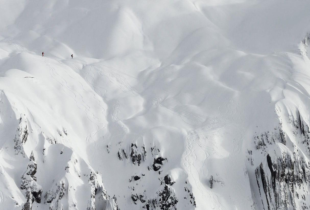 powder white slopes Poster och Canvastavla