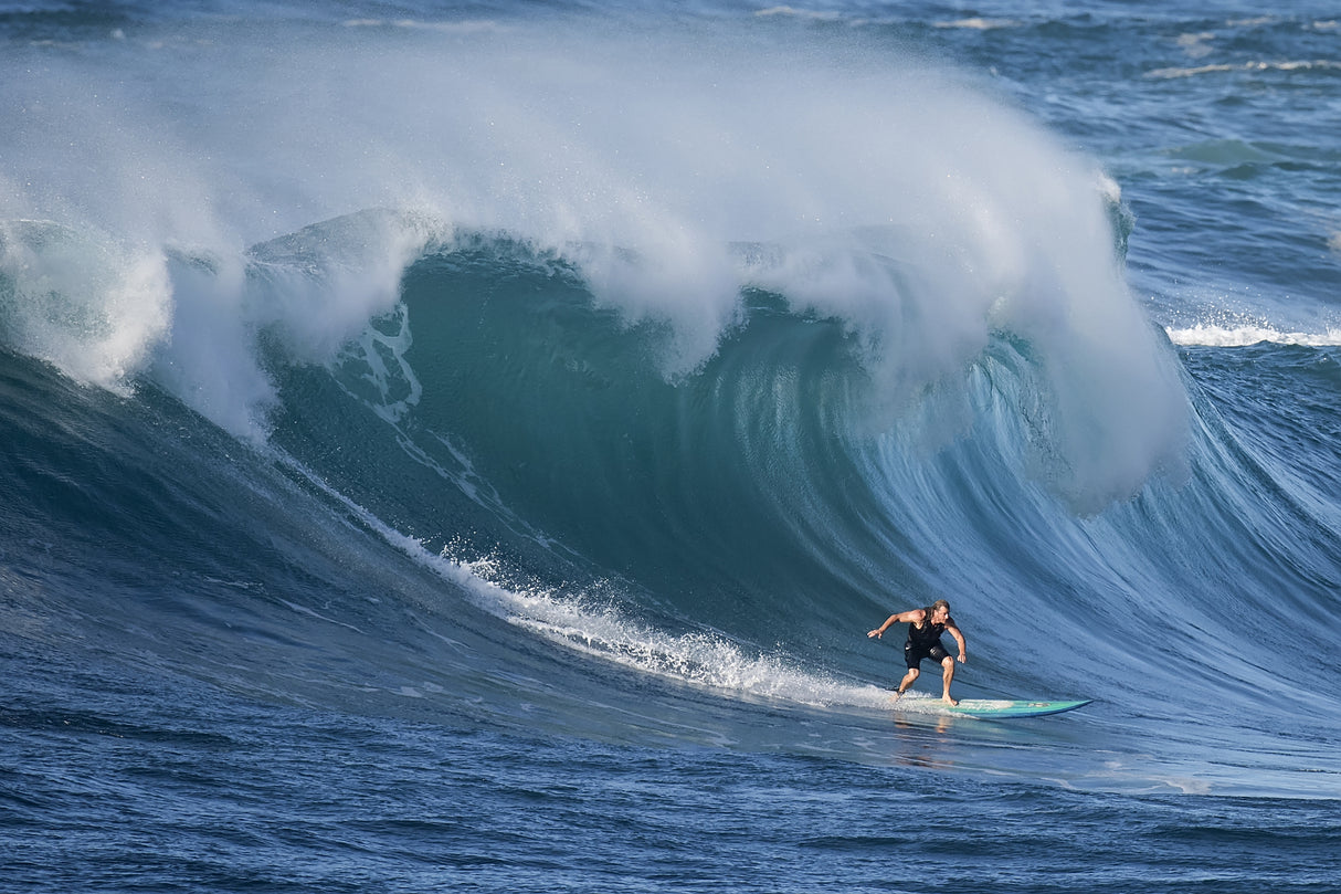 Surf Poster och Canvastavla