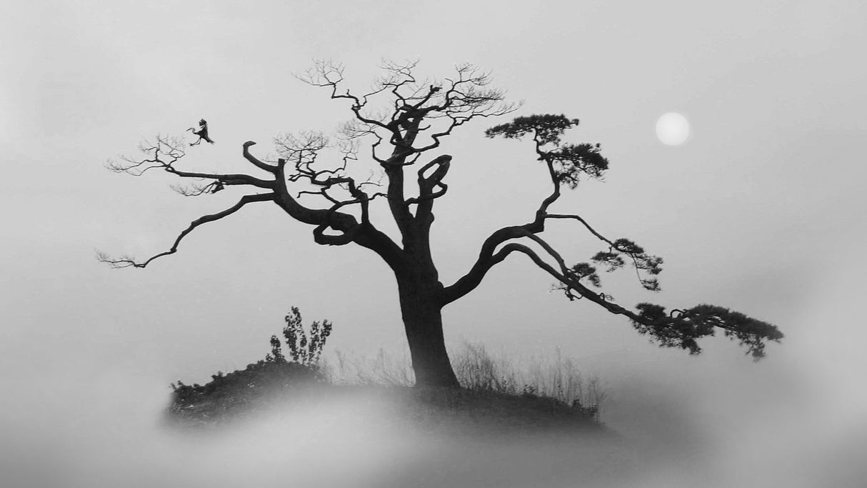 Pine tree Alone Poster och Canvastavla