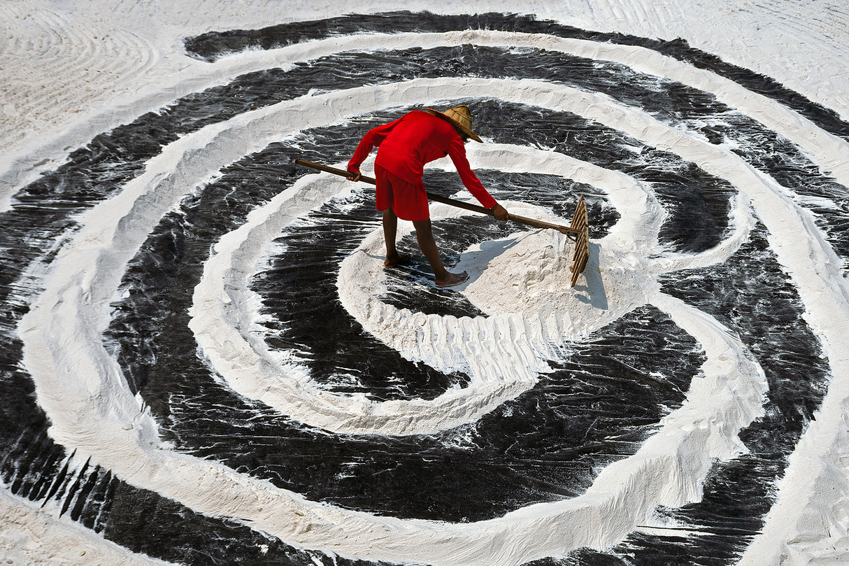 Salt Farmer Harvesting Poster och Canvastavla