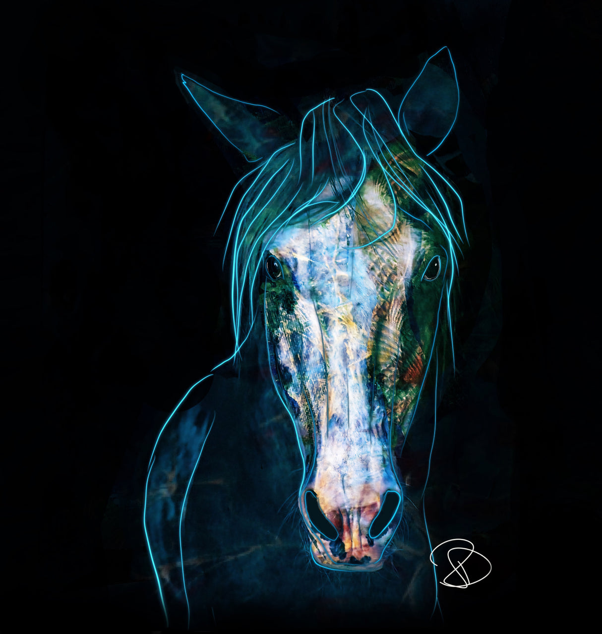 Blue Bashful Horse Poster och Canvastavla