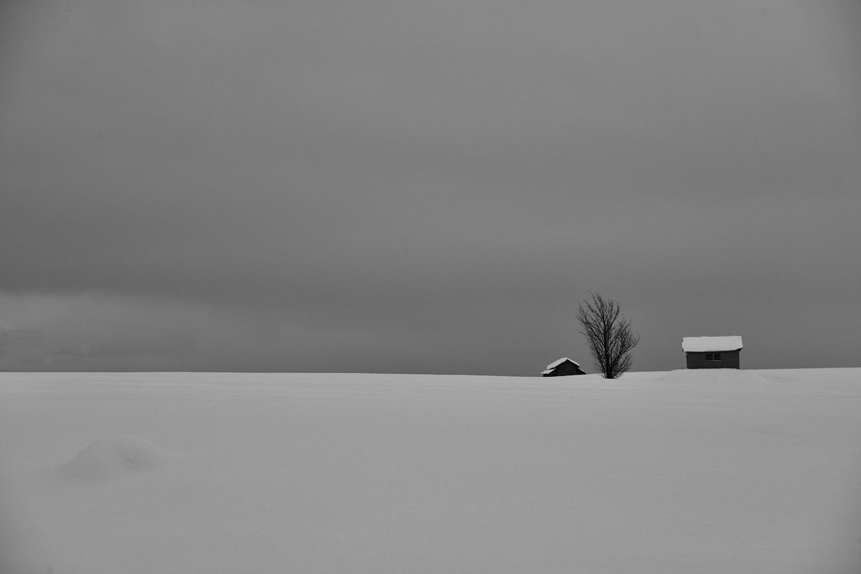 Snow Fields Poster och Canvastavla