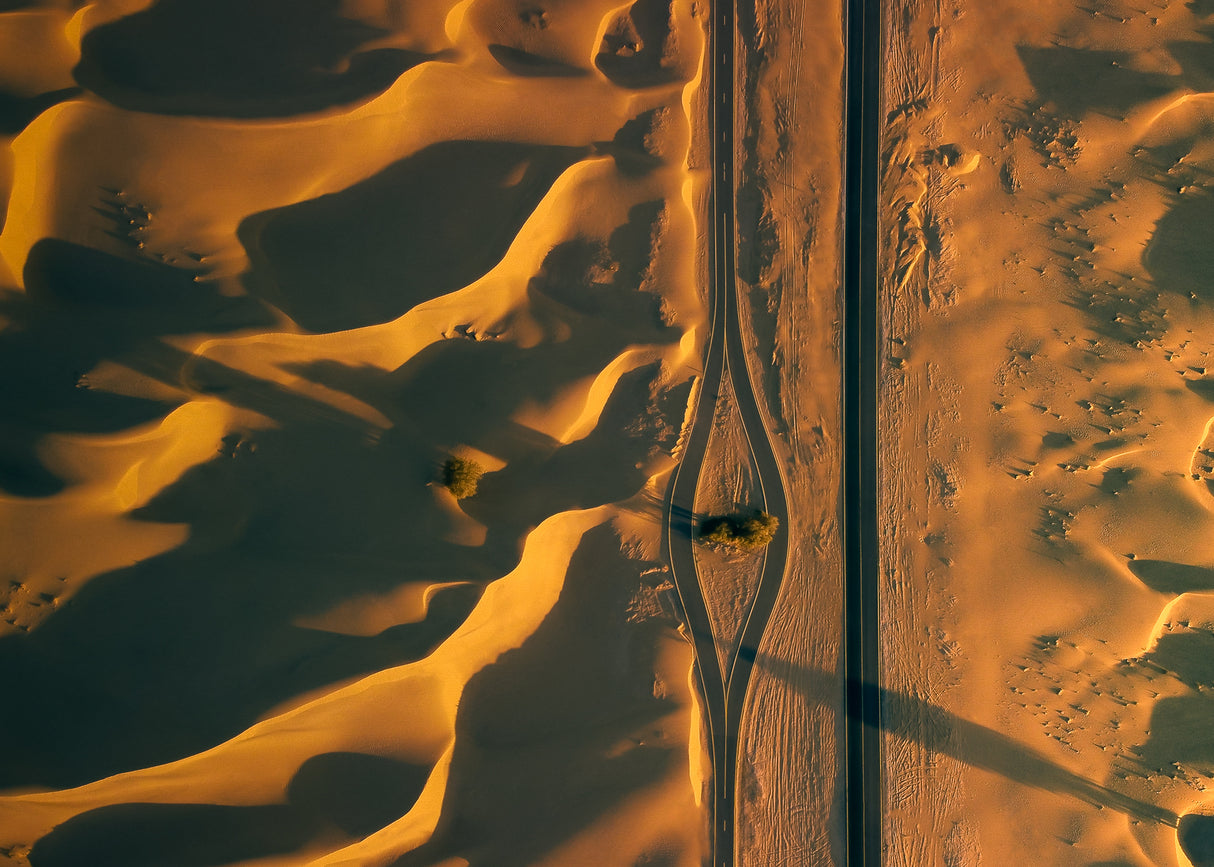 ALQUDRA DESERT Poster och Canvastavla