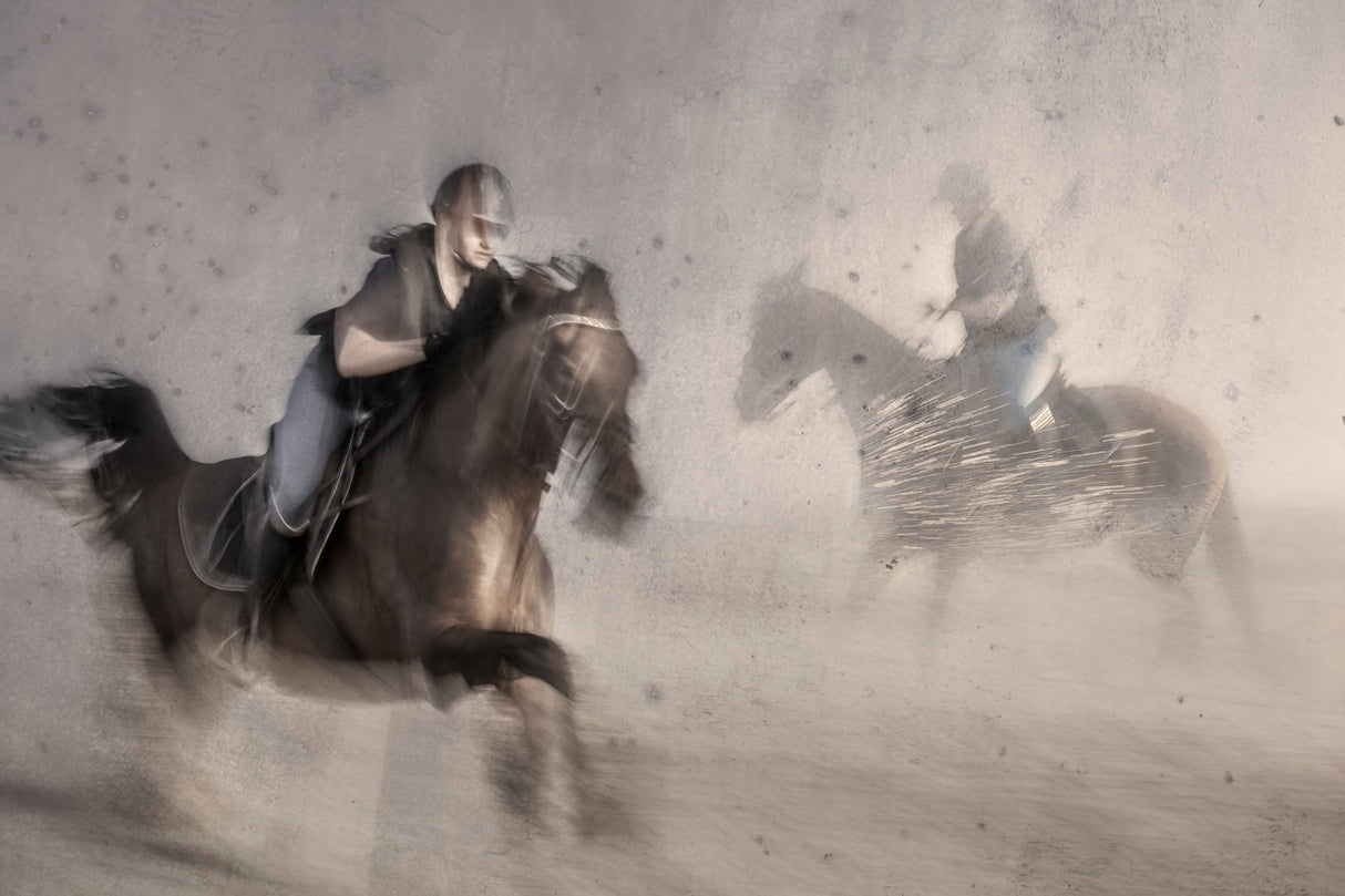 Gallop along the beach Poster och Canvastavla