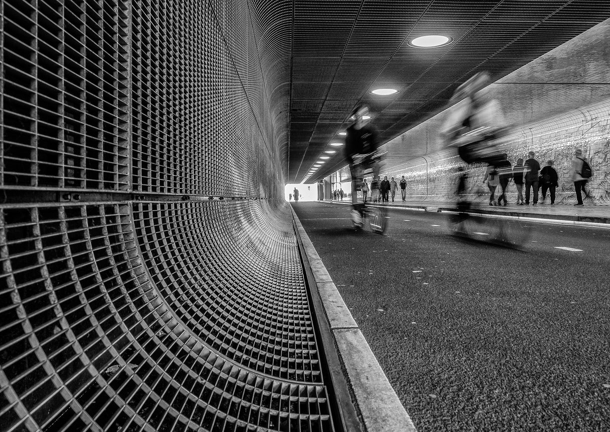 Cyclists Poster och Canvastavla