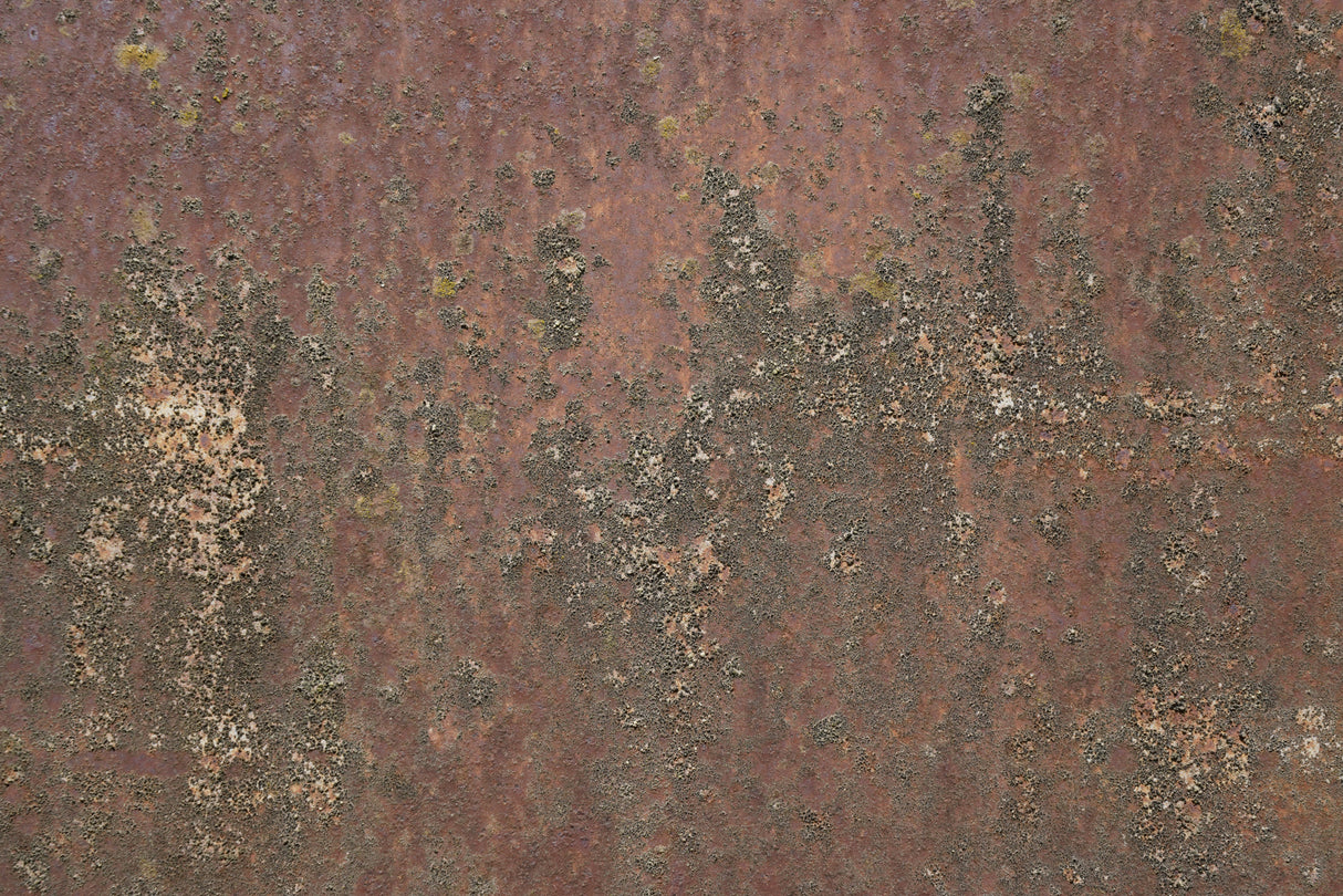 Rust 26 Poster och Canvastavla