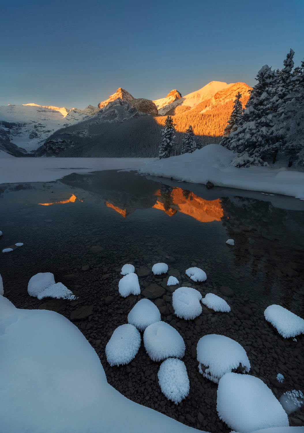 GOLDEN MORNING IN SNOW Poster och Canvastavla