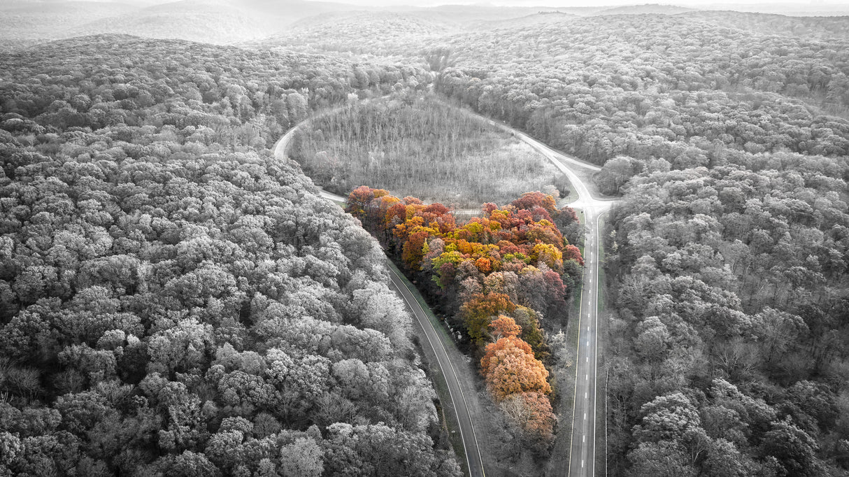 Autumn memory Poster och Canvastavla