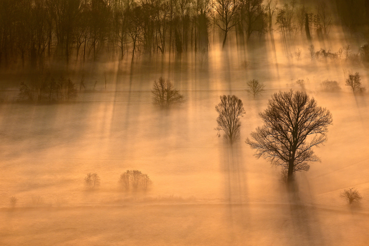 Pins of light Poster och Canvastavla