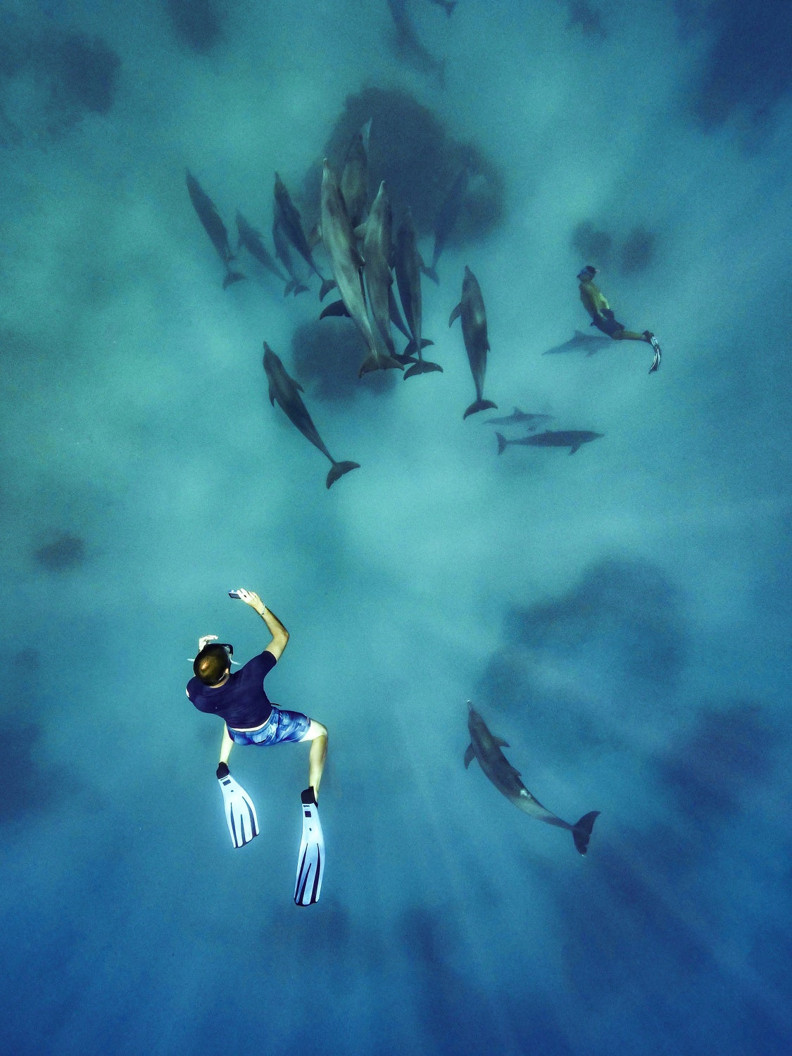 Feel the deep Poster och Canvastavla