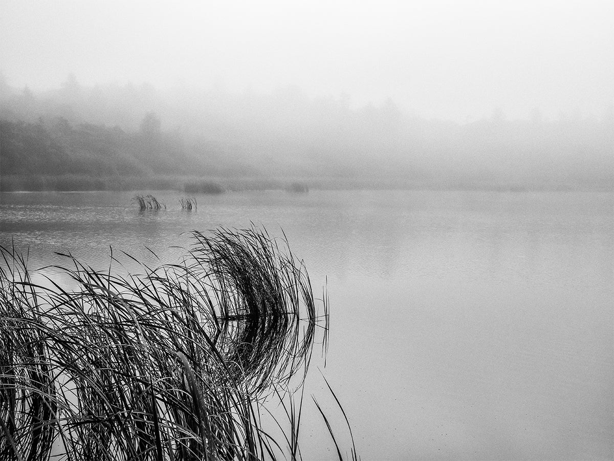 Lake mood on a foggy day Poster och Canvastavla