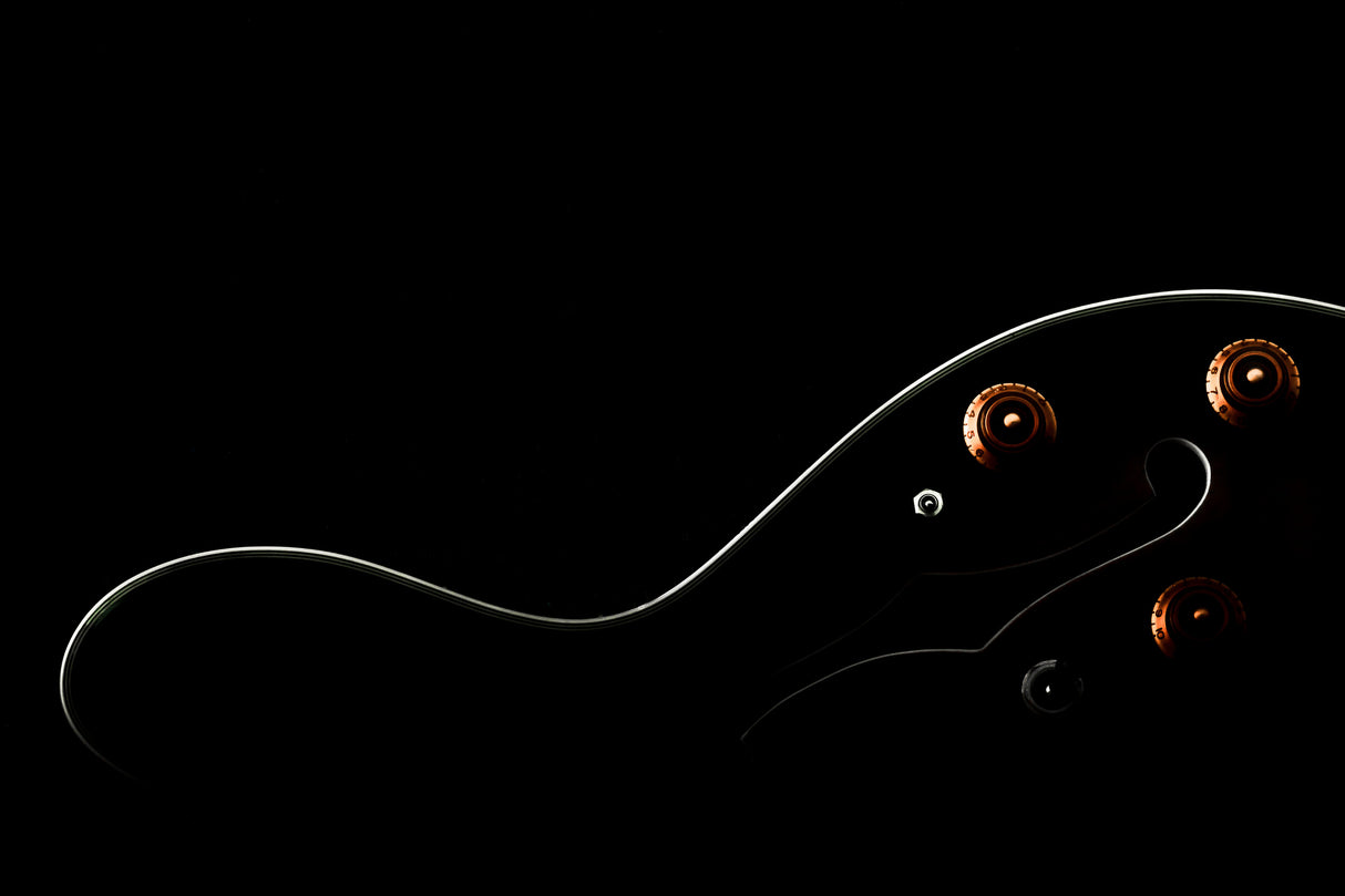 Sensualidad musical Poster och Canvastavla