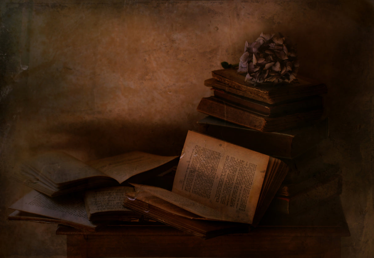 Old books Poster och Canvastavla