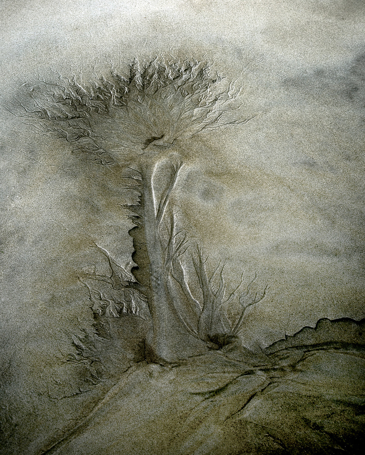 Flow pattern Poster och Canvastavla