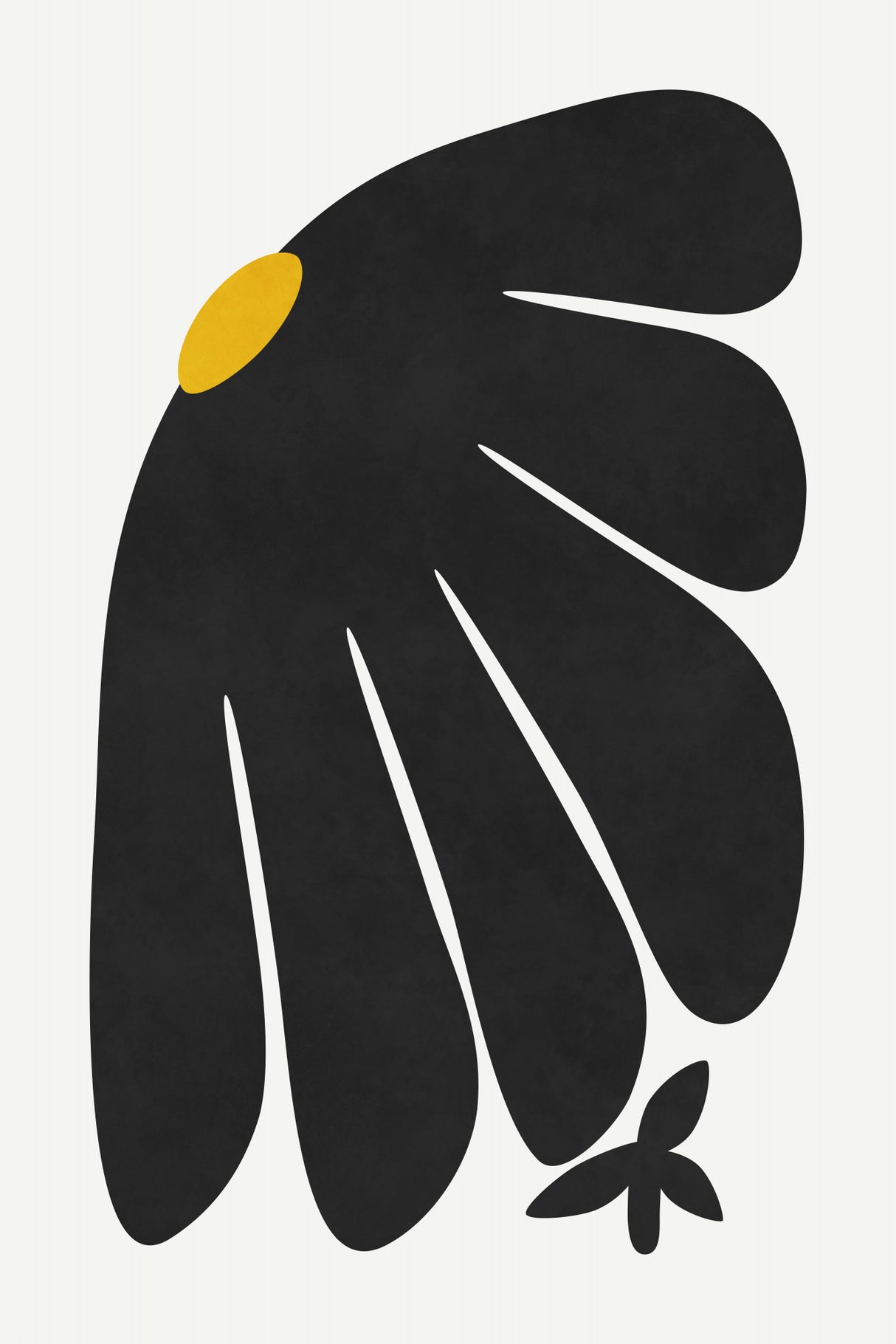 Black Daisy Poster och Canvastavla