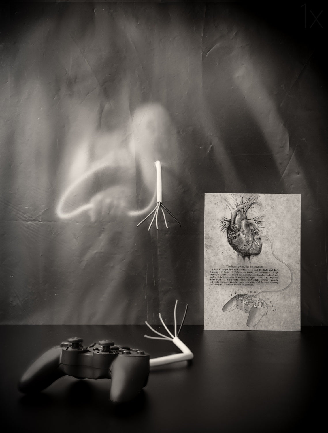 Rebel Heart Poster och Canvastavla