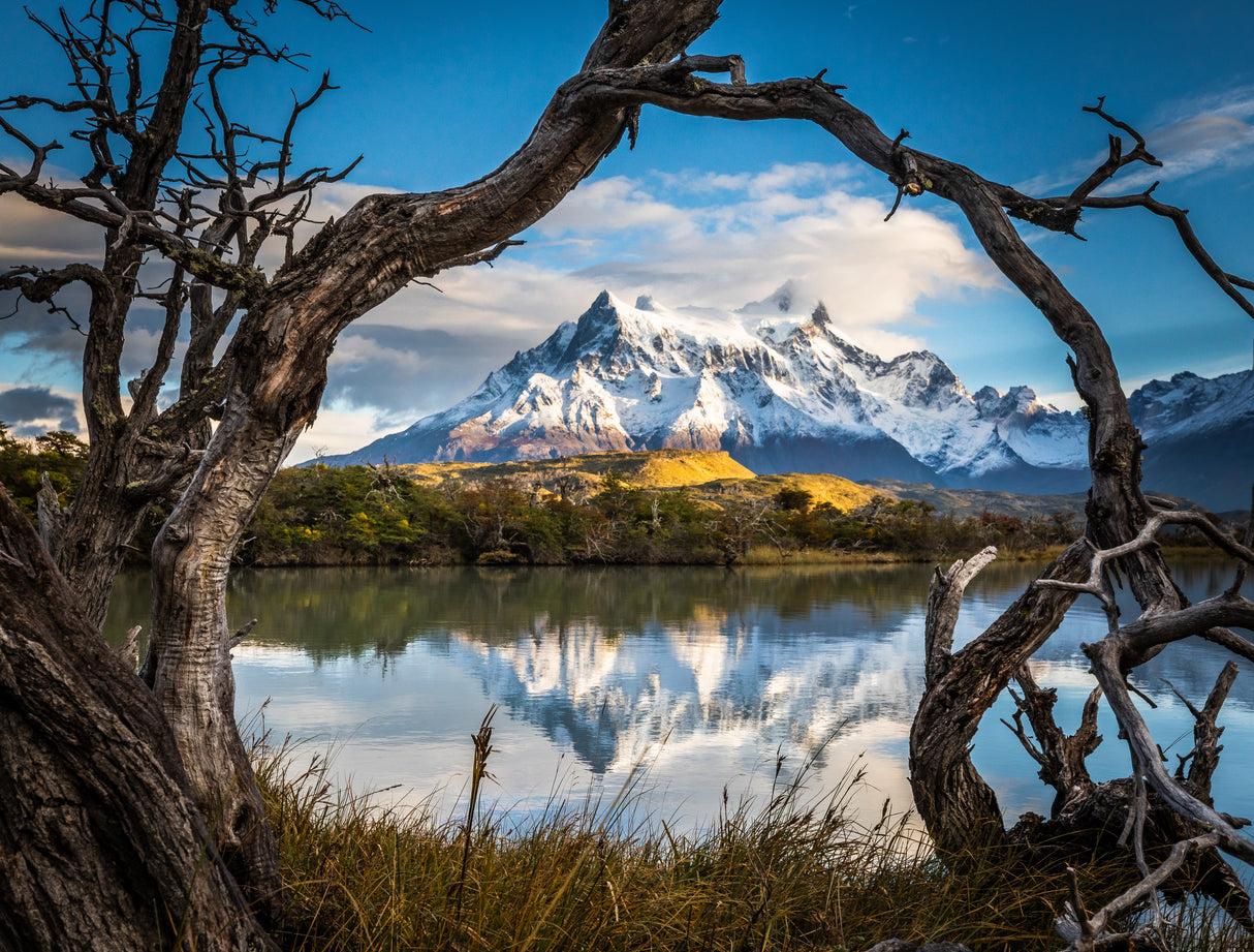 Patagonia Poster och Canvastavla