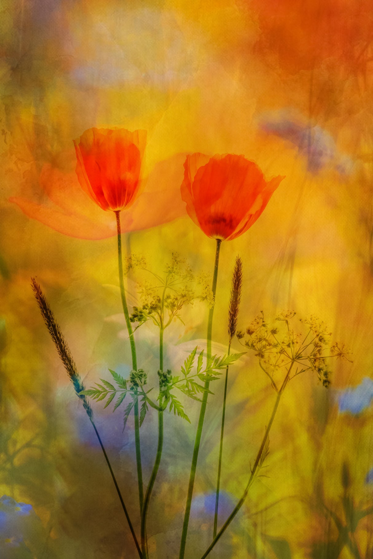 Flowerish Poster och Canvastavla
