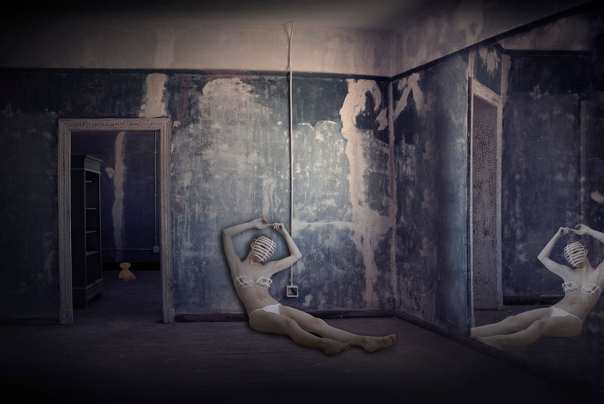 A dollhouse I Poster och Canvastavla