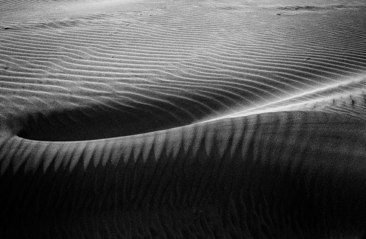 In the hollow of the dunes Poster och Canvastavla