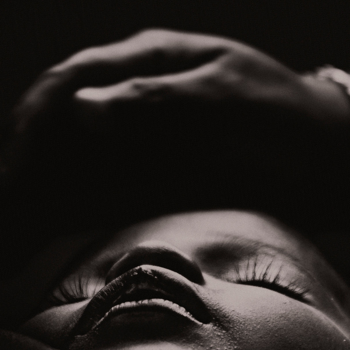 dream my dear Poster och Canvastavla