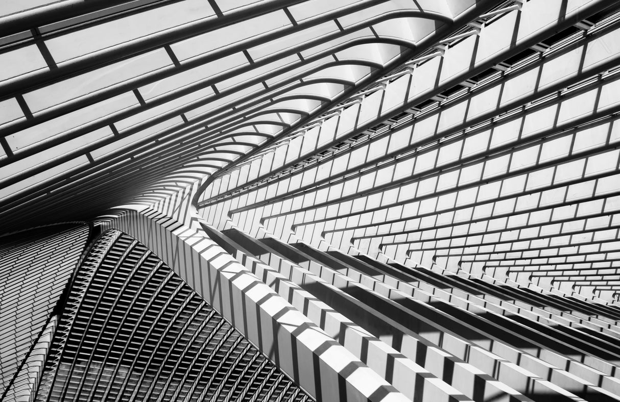 Lines in Liege Poster och Canvastavla