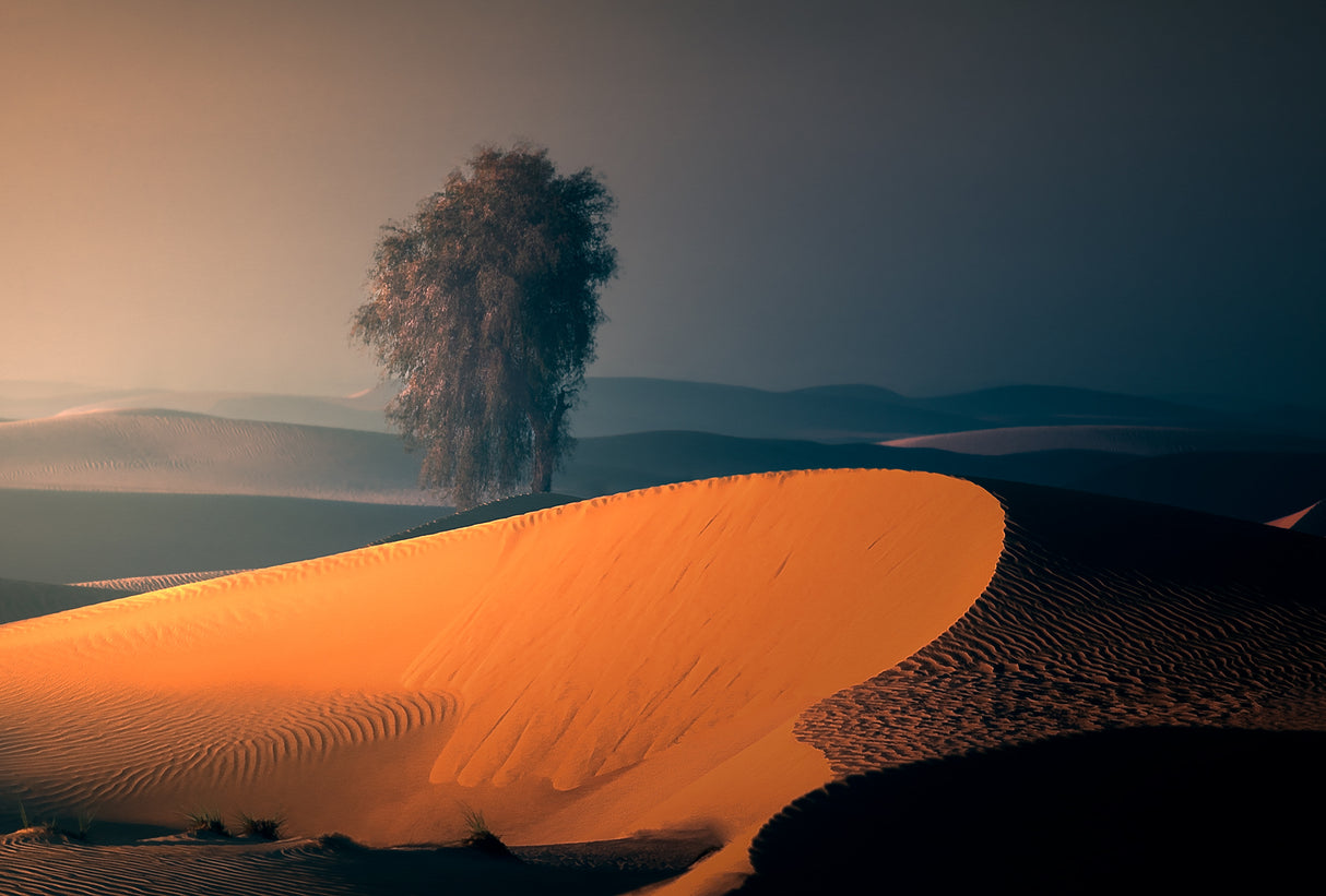 ALQUDRA DESERT Poster och Canvastavla