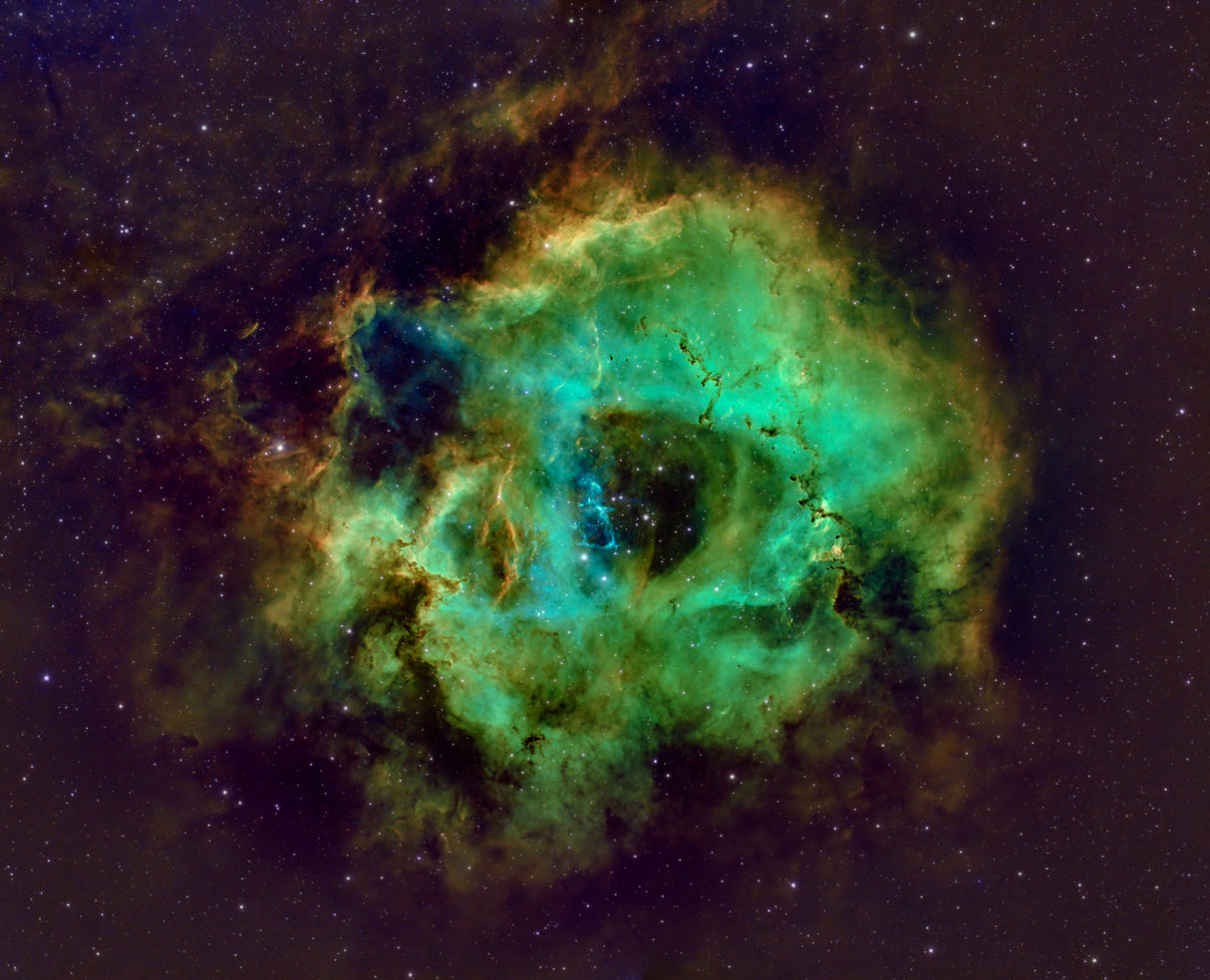 Rosette Nebula Hubble Plate Poster och Canvastavla