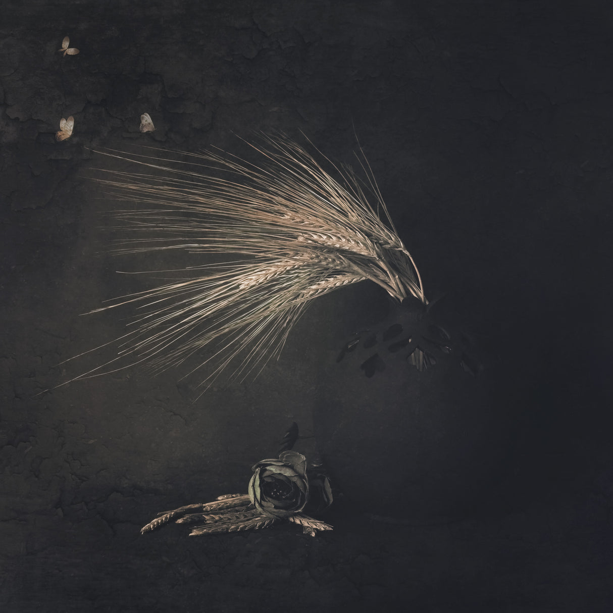 Remains of Light Poster och Canvastavla