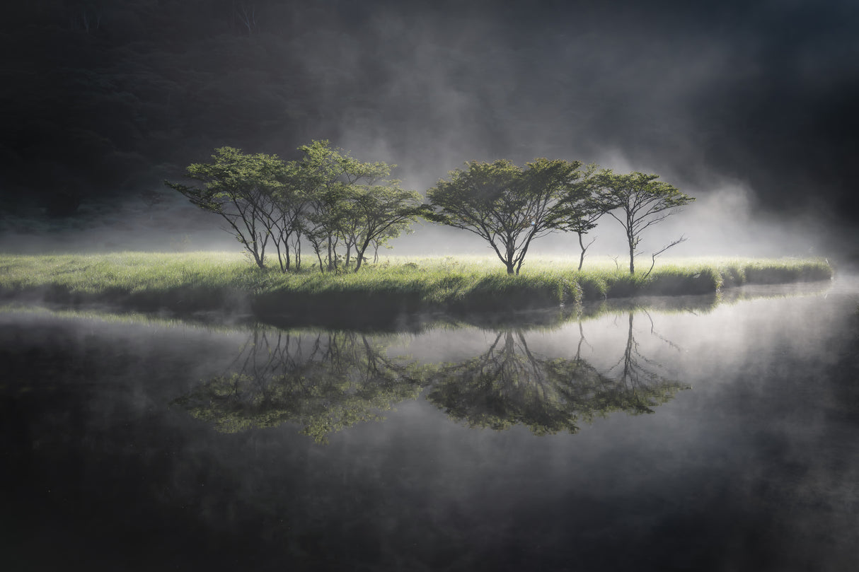 illuminate Poster och Canvastavla