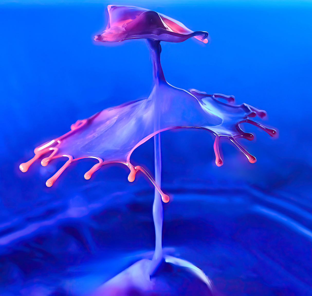 Drop #0886 Poster och Canvastavla